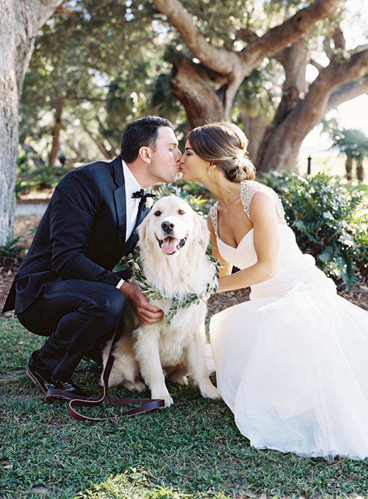 photos-mariage-familiale-milieu-chien-décoré-couronne