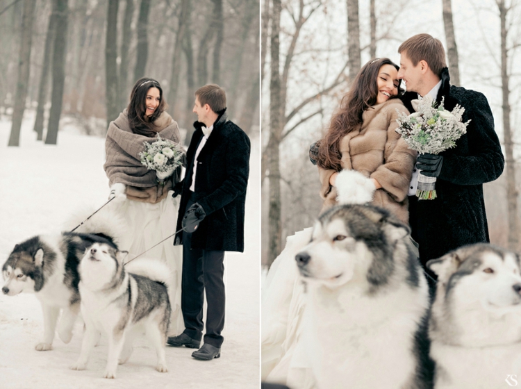 photos de mariage husky-mariage-hiver-forêt-manteau-fourrure