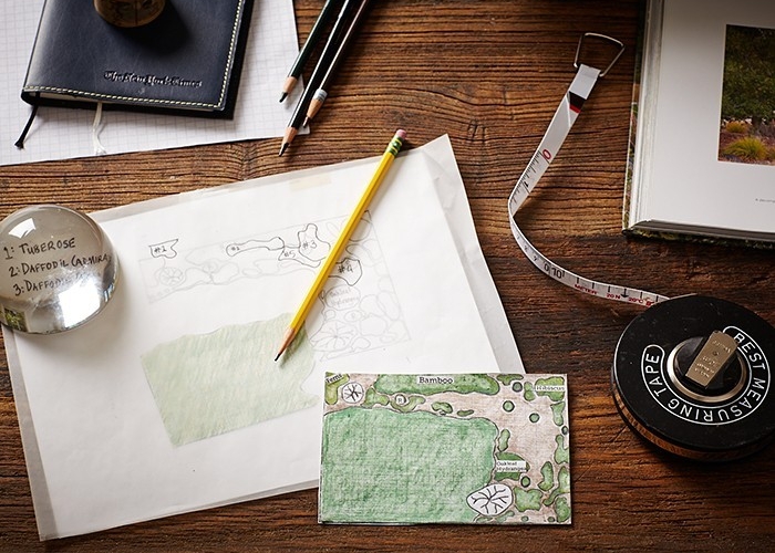plan de jardin à dessiner soi-même quelques étapes faciles