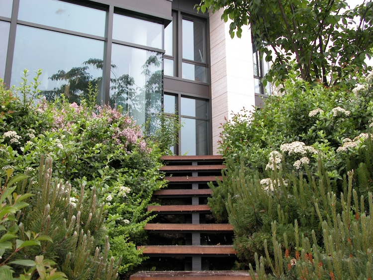 aménagement jardin en pente -arbustes-fleuris-conifères-escalier-extérieur