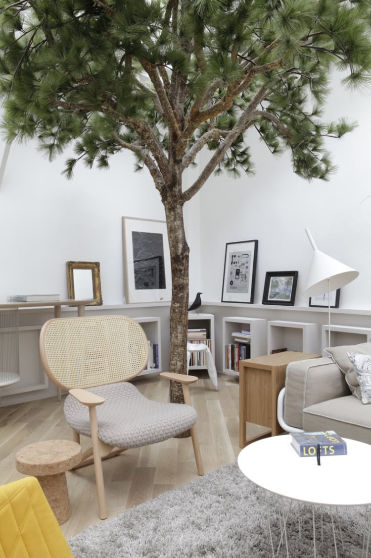 arbre-intérieur-appartement-parisien-style-nordique-design-Gregoire-De-Lafforest