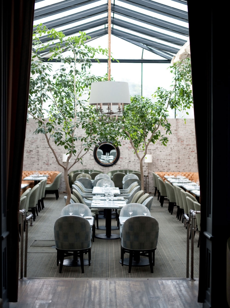 arbre d'intérieur espace-moderne-restaurant-Brentwood-Los-Angeles