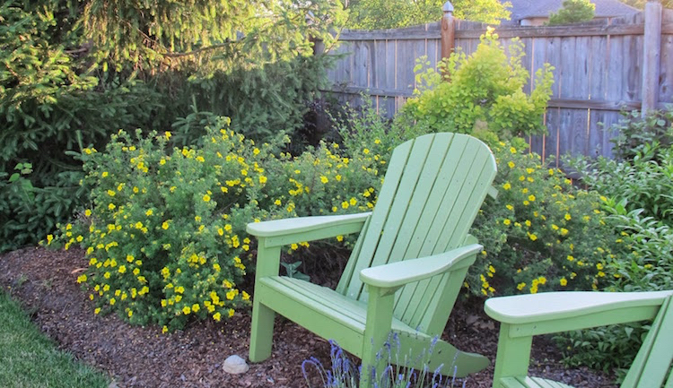 arbustes-fleurs-floraison-estivale-fleurs-jaunes-chaises-Adirondack