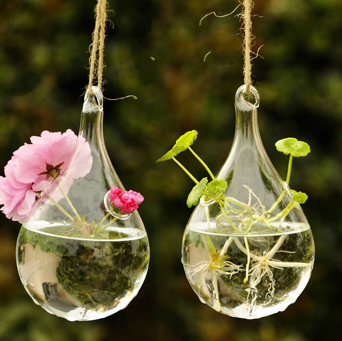 décoration vase en verre suspendu forme poire plantes miniatures