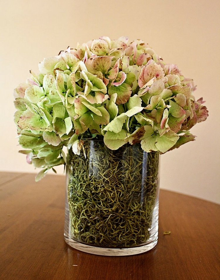 décoration vase en verre transparent rempli mousse verte hortensia-vert