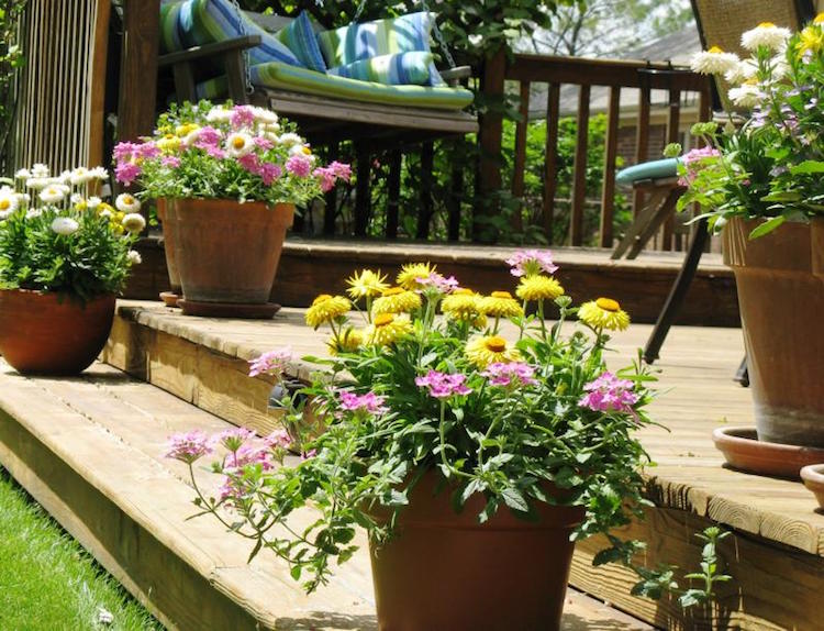 fleurs-pot-pour-terrasse-jardin-extérieur