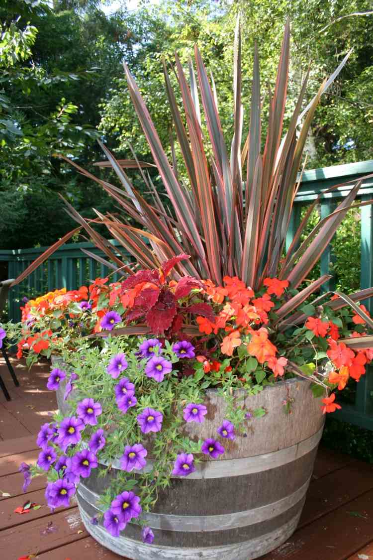 fleurs-pot-pétunias-rouge-violet-jardinière-bois-massif
