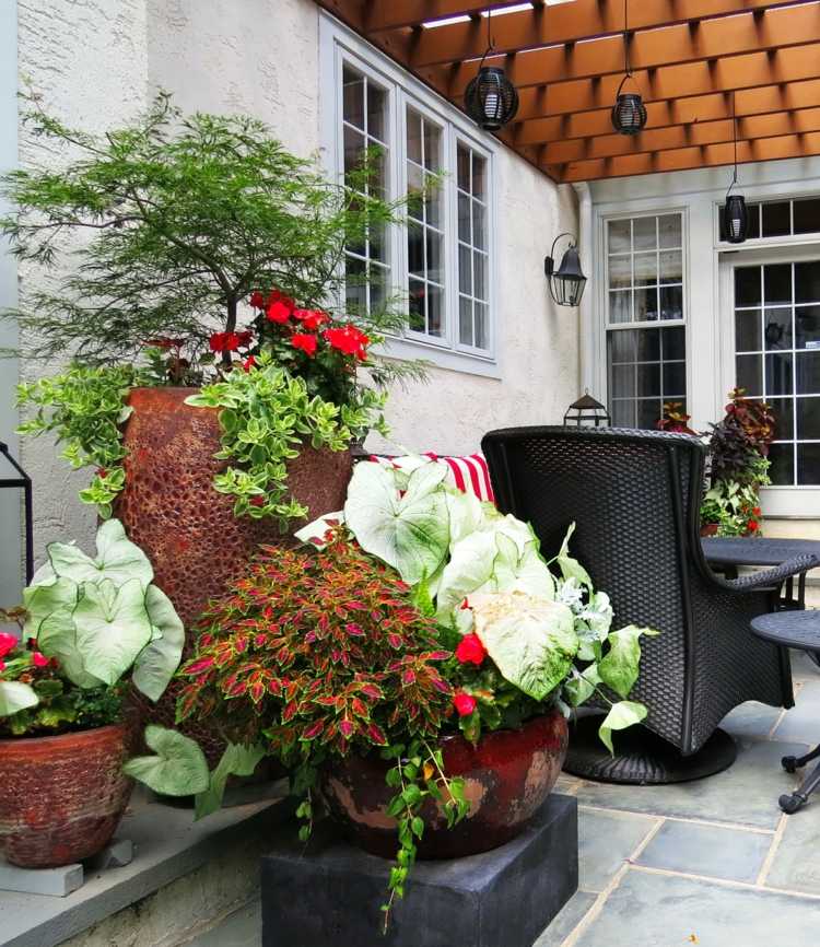 fleurs-pot-rouges-plantes-vertes-céramique-terrasse-mobilier
