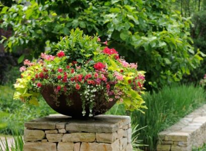 fleurs en pot rouges-roses-plantes-vertes-déco-extérieure