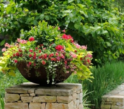 fleurs en pot rouges-roses-plantes-vertes-déco-extérieure