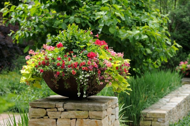 fleurs en pot rouges-roses-plantes-vertes-déco-extérieure