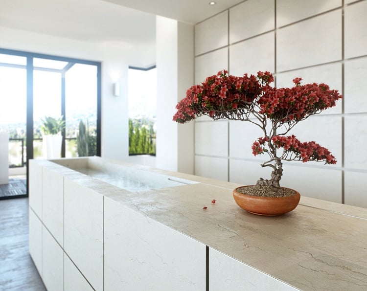 idée-arbre-intérieur-espace-moderne-cuisine-blanche-bonsai-pot