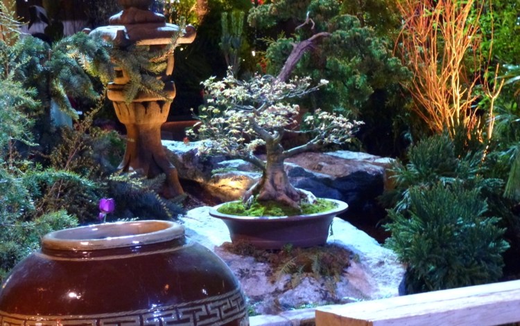jardin-asiatique-idées-conseils-végétation-opulente-bonsai