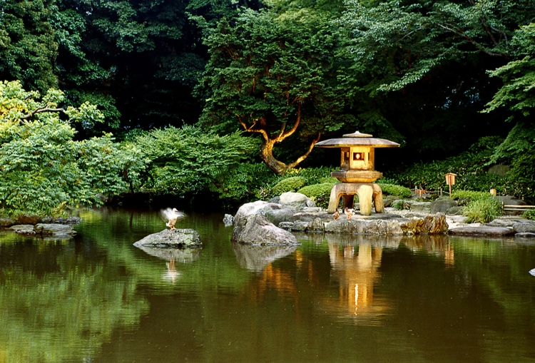 jardin-asiatique-lac-artificiel-pavillon-grosse-pierres-végétation-copieuse