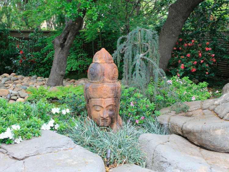 jardin asiatique végétation-opulente-pierres-décoratives-statue-bouddha