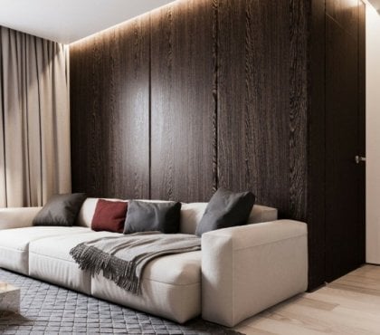 panneau mural bois –sombre-salle-séjour-canapé-taupe-tapis-gris