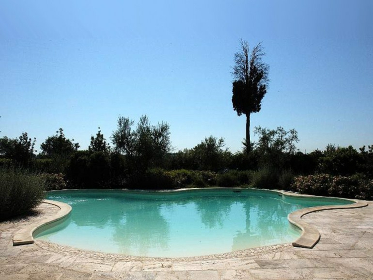 piscine-originale-forme-asymétrique-look-exotique