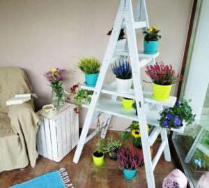 porte plantes -diy-échelle-blanche-planches-bois-différentes-tailles