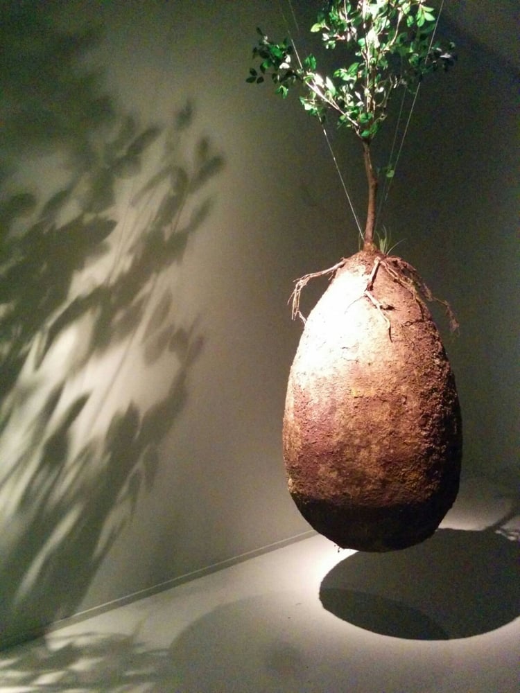 urne-funéraire-biodégradable-concept-innovant-arbre