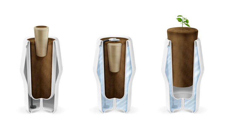 urne-funéraire-écologique-incubateur-arbre-concept-innovant