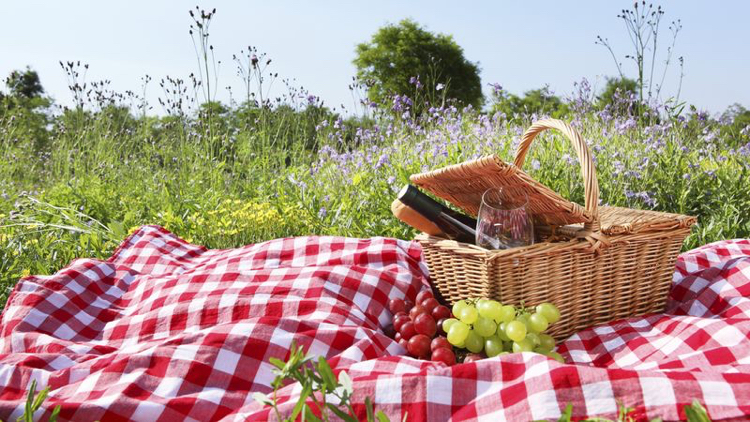 aire de pique-nique –jardin-couverture-carreaux-rouge-blanc-panier-osier