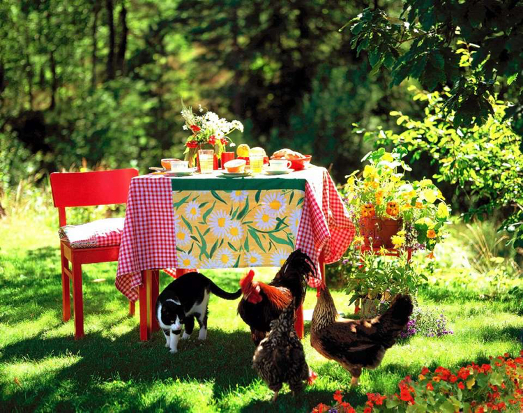 aire de pique-nique –jardin-table-chaises-rouges-nappe-motif-marguerites