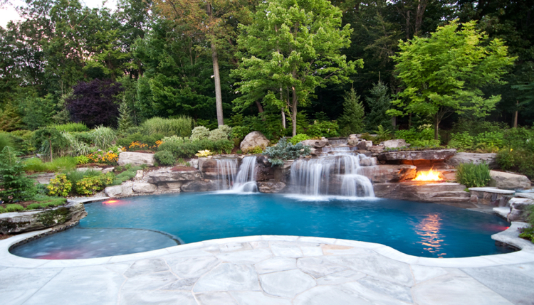 aménagement jardin paysager -autour-piscine-cascade-forêt-arbustes-fleurs