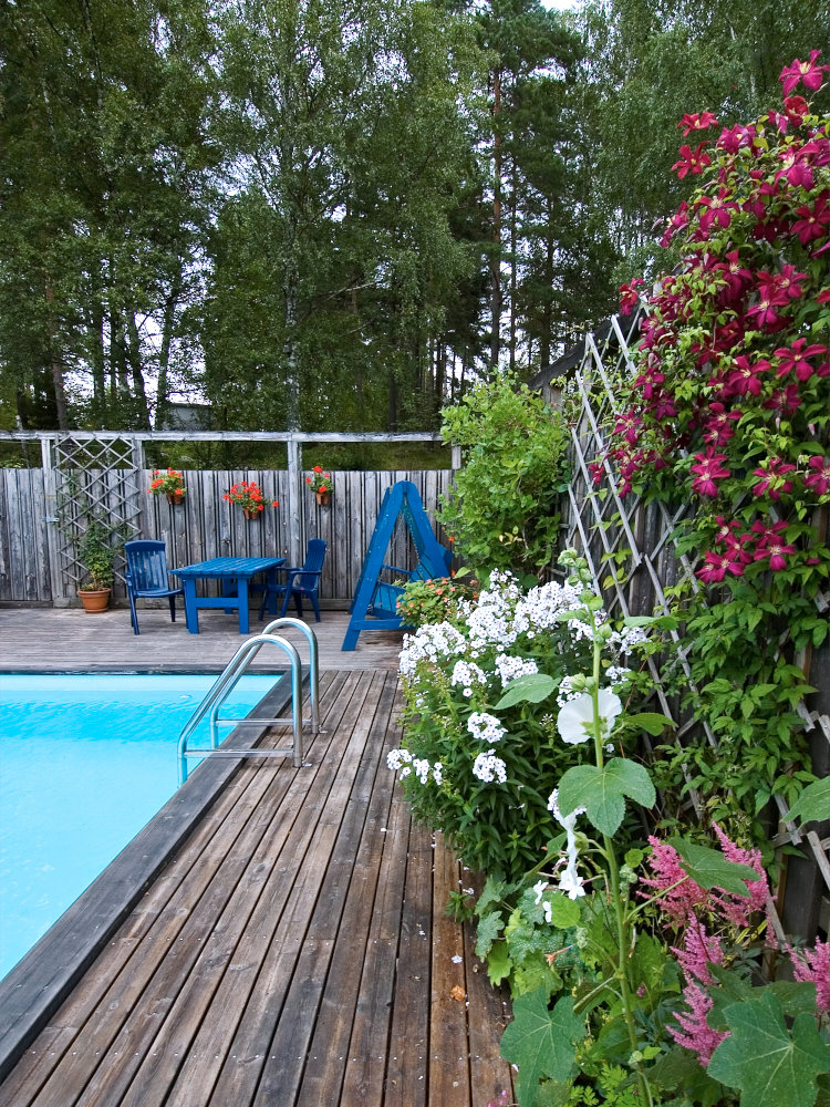 aménagement jardin paysager -autour-piscine-fleurs-arbustes-grimpants