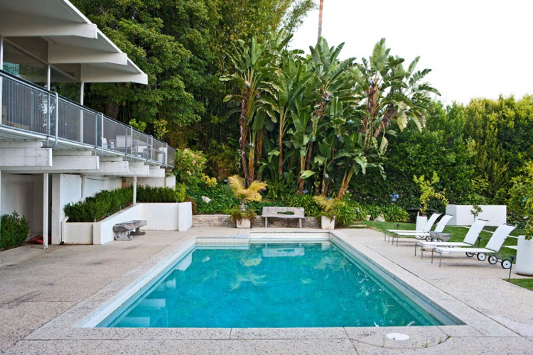 aménagement jardin paysager -autour-piscine-palmiers-graminées-ornement