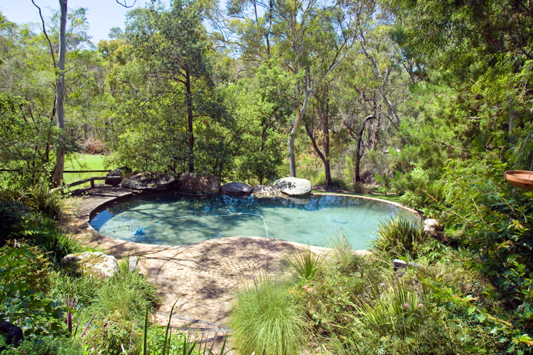 aménagement jardin paysager -autour-piscine-végétation-luxuriante
