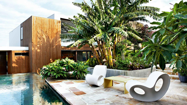 aménagement jardin paysager -tropical-autour-piscine-bananiers-fauteuils-design