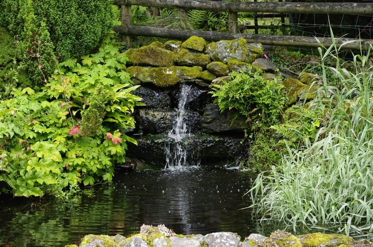 bassin-jardin-cascade-rocher-idées-conseils-plantes