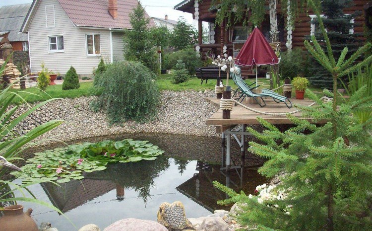 bassin-jardin-forme-ovale-terrasse-bois-sapin-plantes