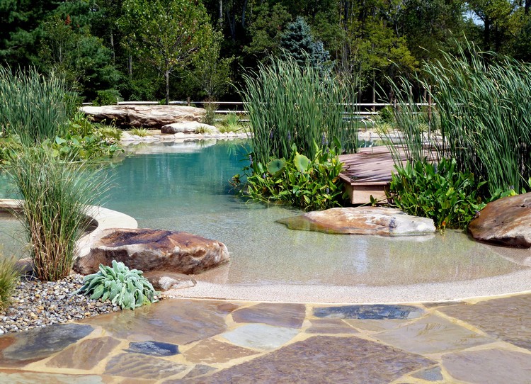 bassin-jardin-naturel-forme-asymétrique-ambiance-zen-pierre