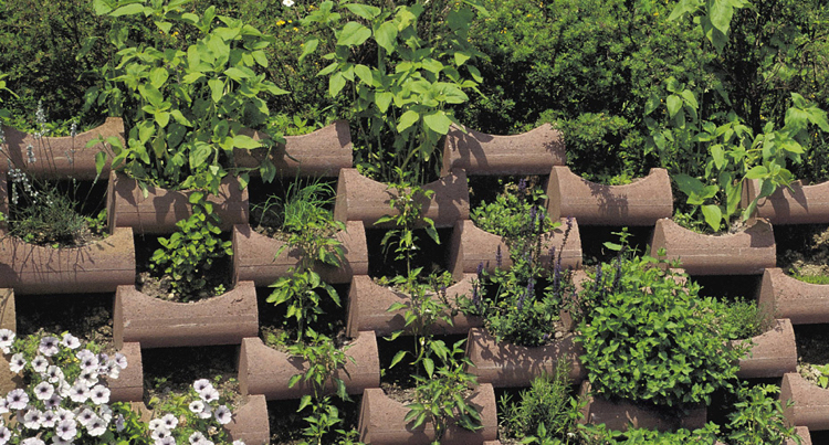 blocs béton creux-jardinières-pétunias-lavande