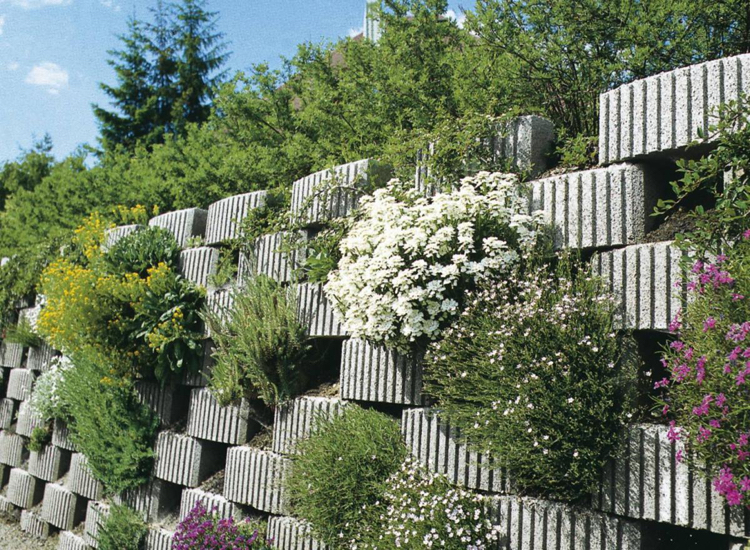 blocs béton creux-mur-jardin-blocs-béton-plantes-fleurs-vivaces