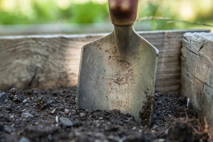 entretien du jardin –printemps-outils-jardinage-pelle-manche-bois