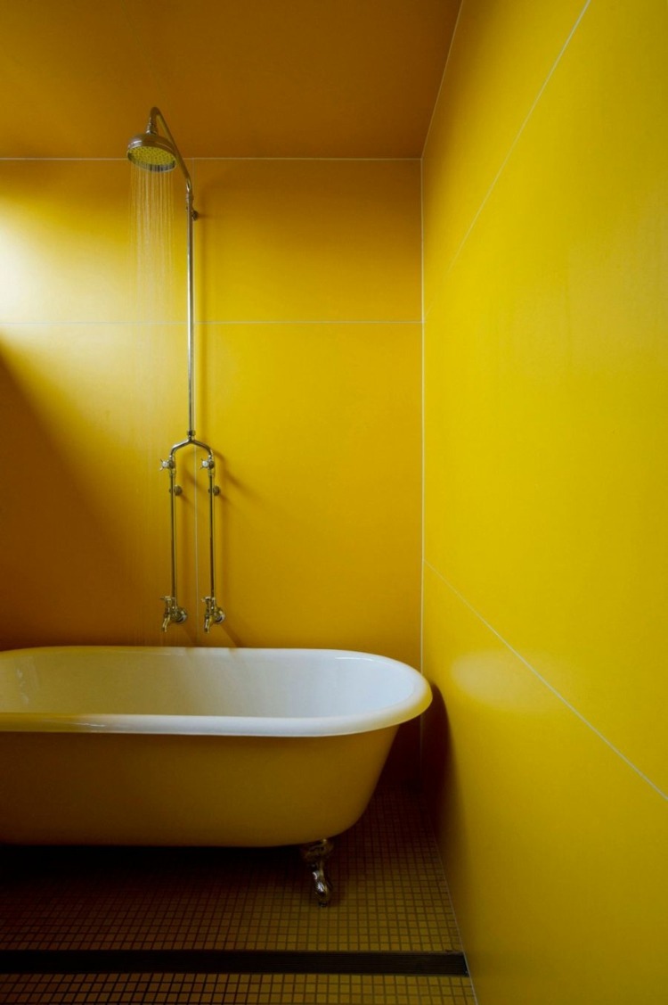 idées-déco-salle-bain-douche-vintage-peinture-jaune