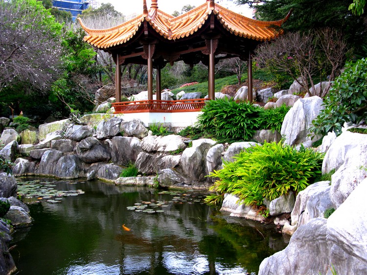 jardin-chinois-abri-coloré-pierres-décoratives-végétation-opulente