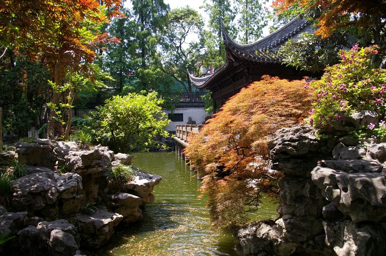 jardin chinois bassin-eau-ambiance-zen