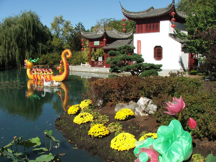 jardin-chinois-bateau-décoratif-cygne-bo,nsai