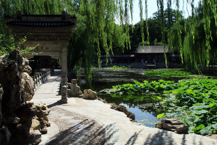 jardin chinois idées-conseils-bassn-eau-allée-pierre