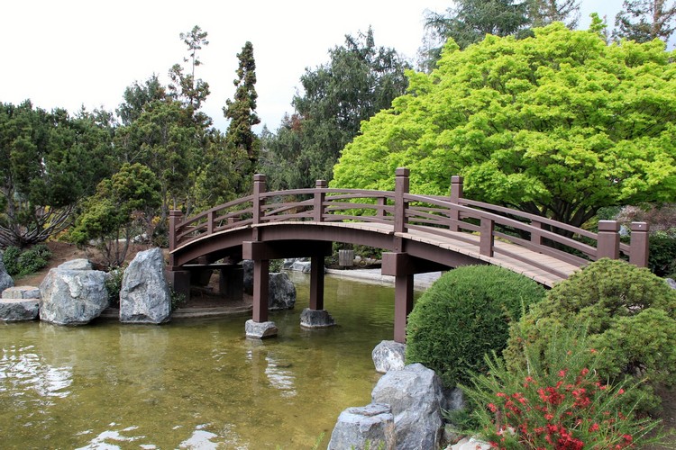 jardin-chinois-pont-bois-massif-bassin-eau-végétation