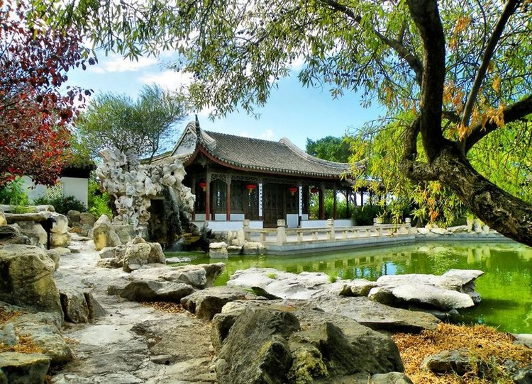 jardin-chinois-stylé-original-bassin-aquatique