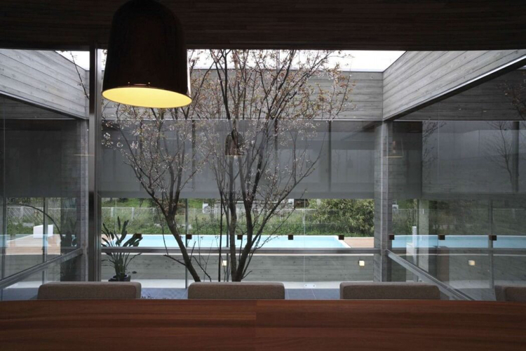 jardin-intérieur-fenêtres-panoramiques-suspension-design-piscine-arbre