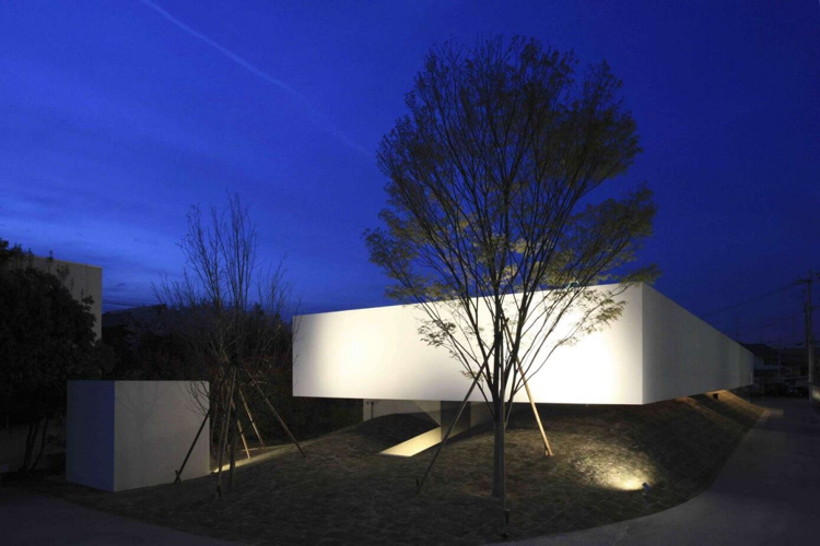 jardin-intérieur-éclairage-led-arbre-jardin-moderne