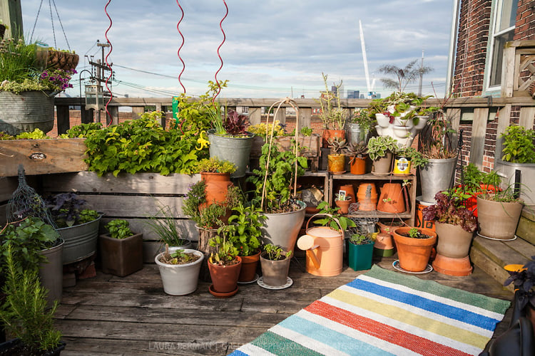 jardin vertical -balcon-plantes-pots-argile
