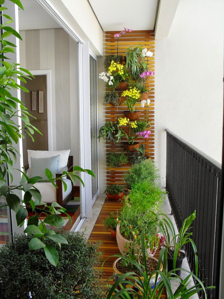 jardin vertical -balcon-pots-orchidées-herbes-aromatiques-citronnier-pot
