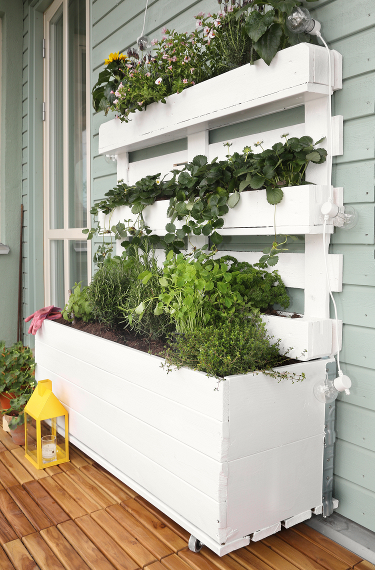 jardin vertical -balcon-porte-plantes-palettes-bois-peinture-blanche-fraisiers-herbes-fleurs