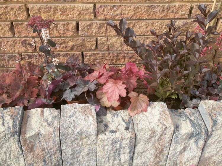 palissade granit -blocs-granit-juxtaposés-plantes-feuilles-rouges